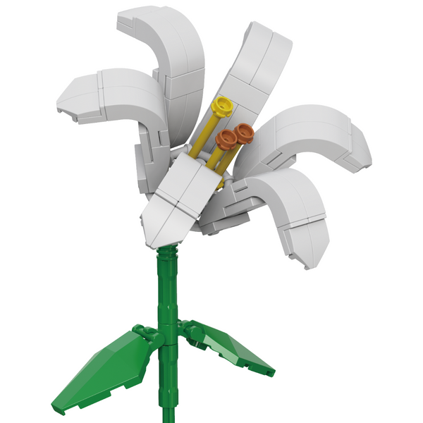 Lily