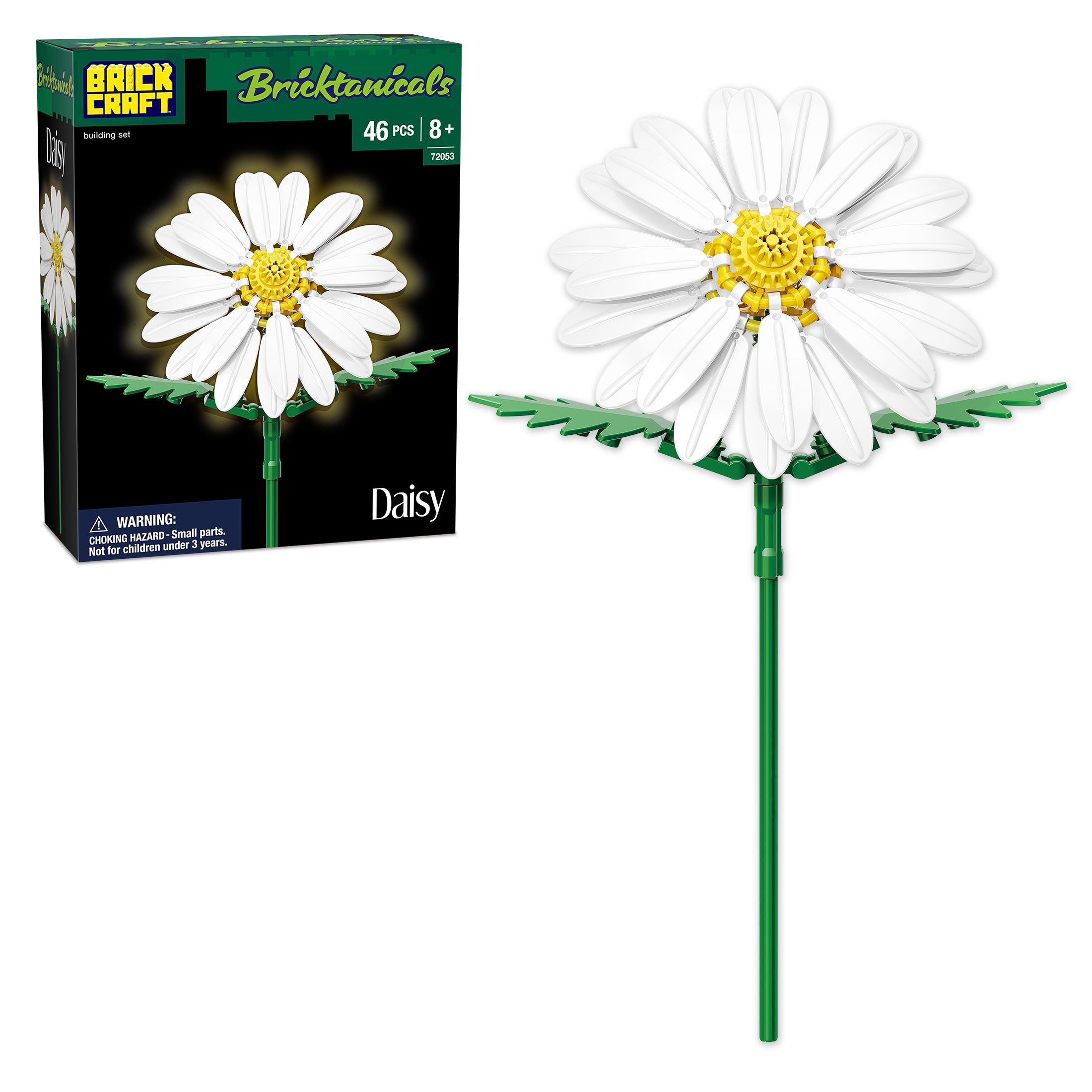 Daisy