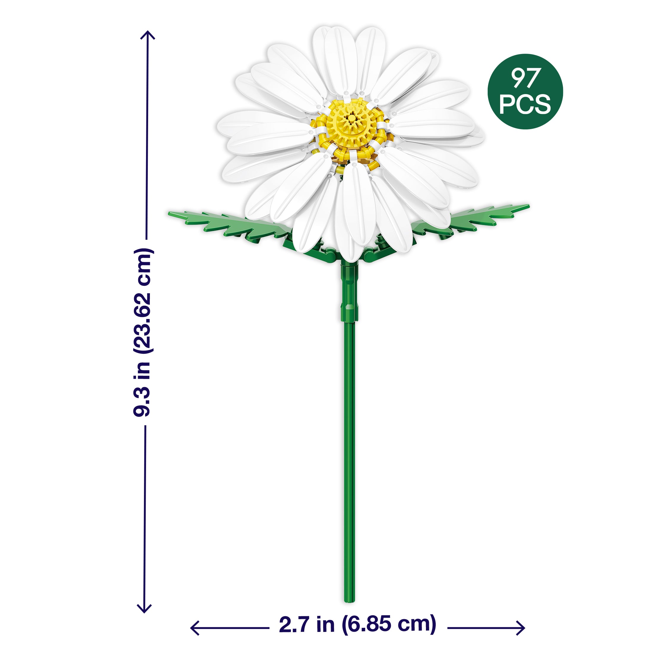 Daisy