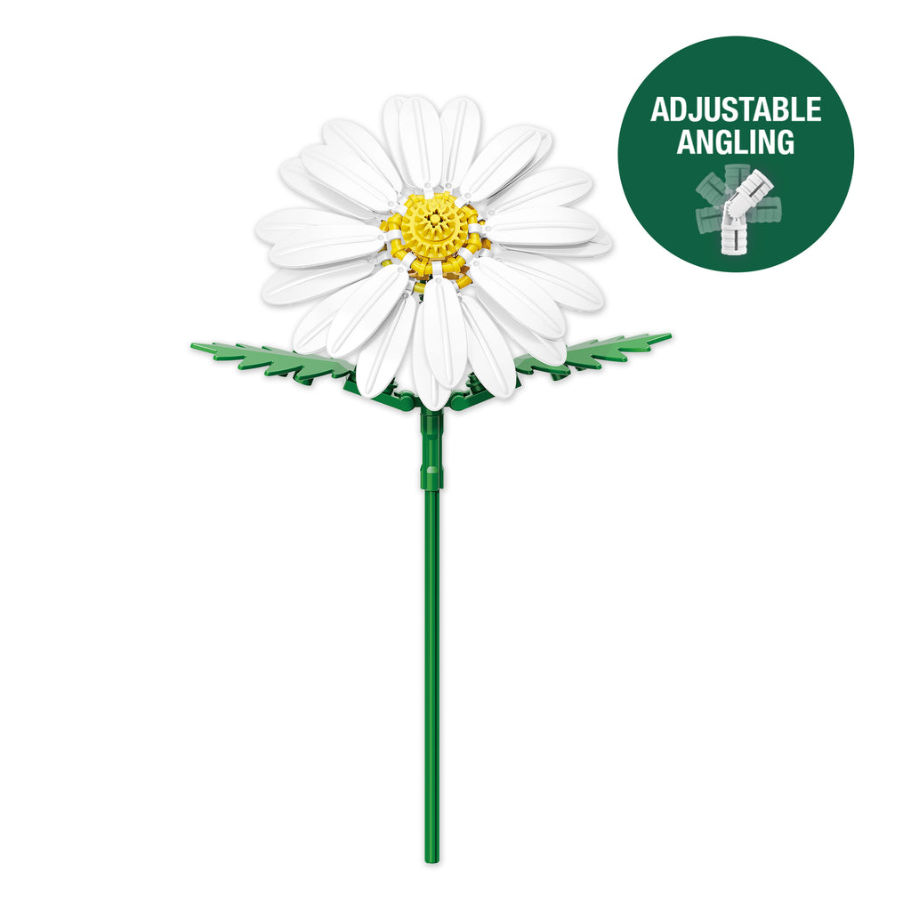 Daisy