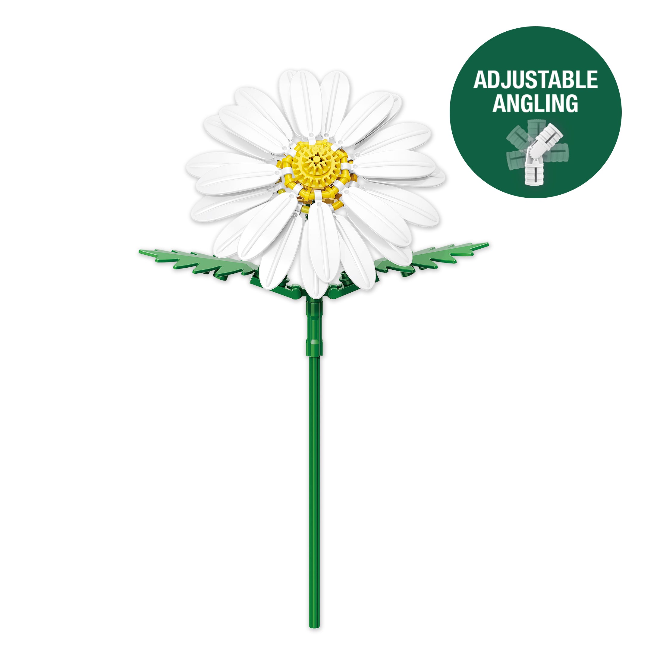 Daisy