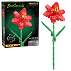 Amaryllis