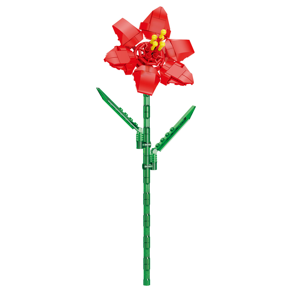 Amaryllis
