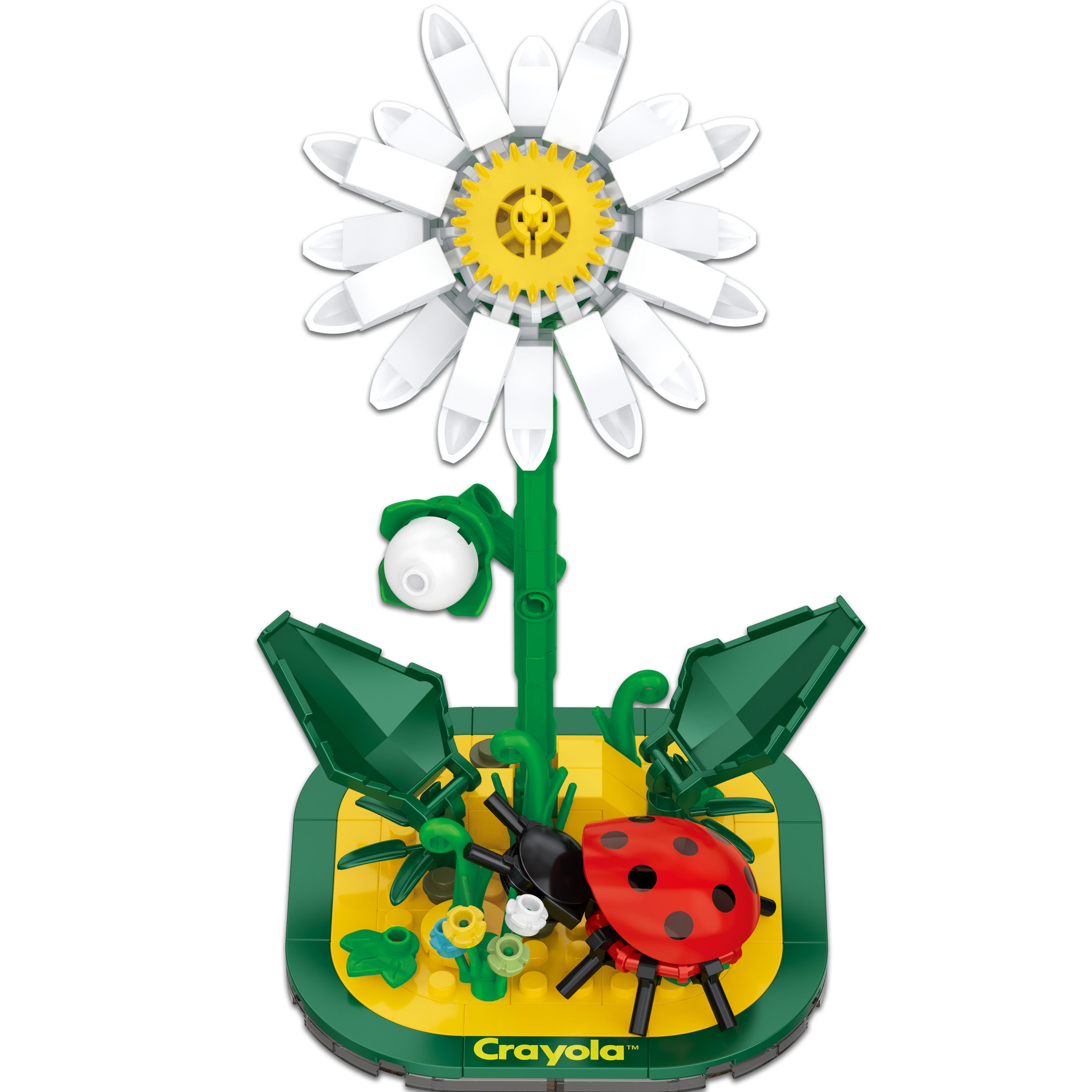 Crayola Butterfly Garden