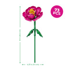 Peony