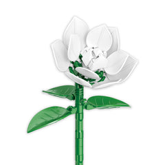 White Gardenia
