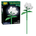 White Gardenia