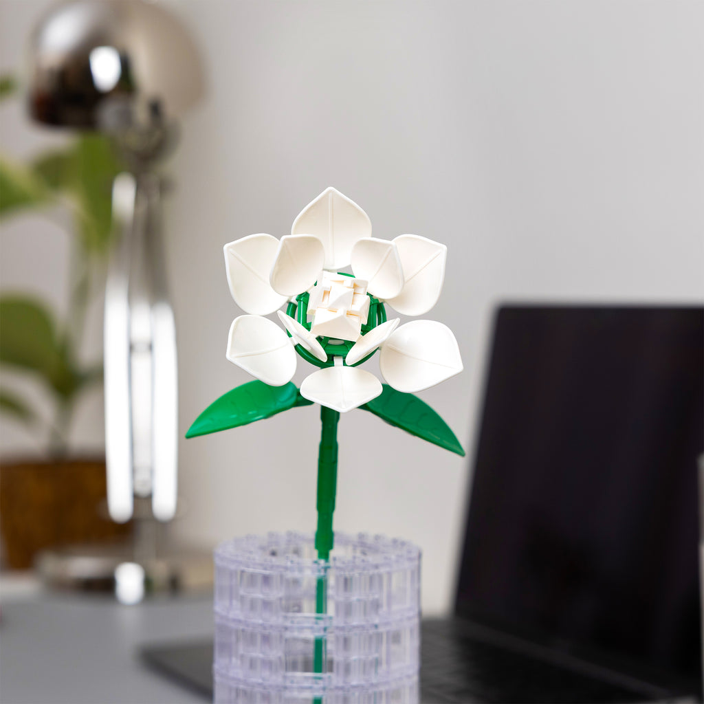 White Gardenia