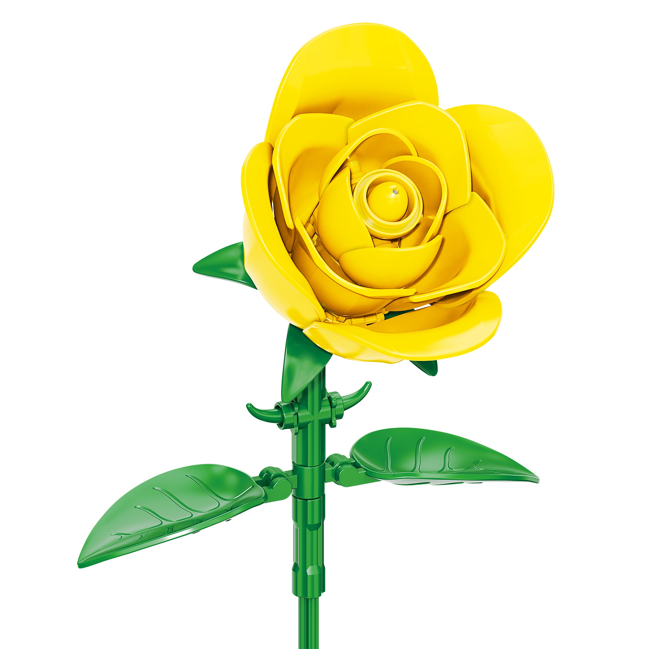 Yellow Rose