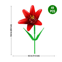 Amaryllis