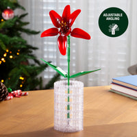 Red flower in a vase on a table with a blurred background