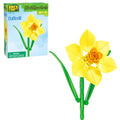 Daffodil