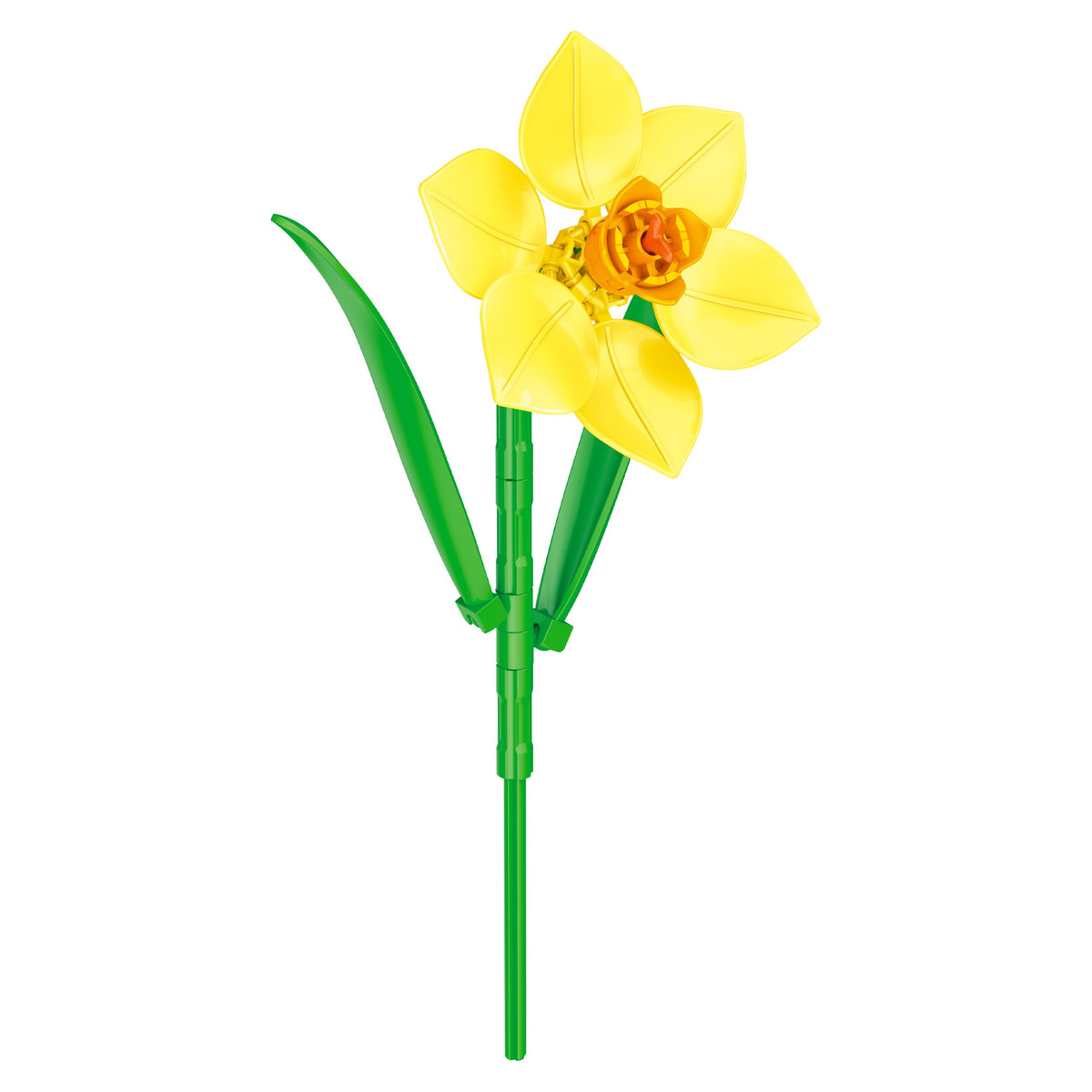 Daffodil