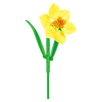 Daffodil