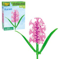 Hyacinth