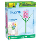 Hyacinth