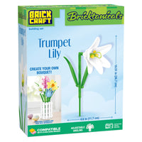 Trumpet Lilly
