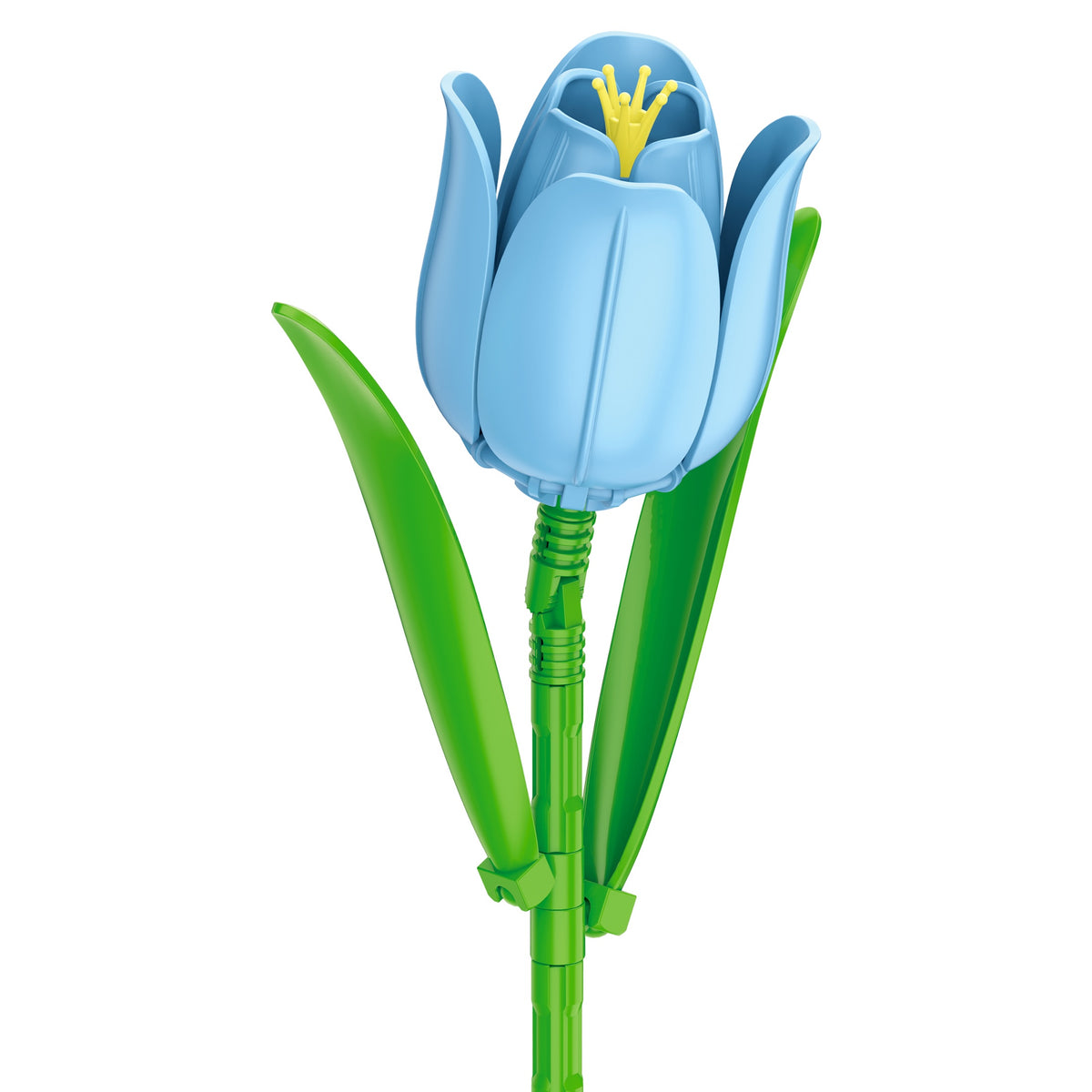 Blue Tulip
