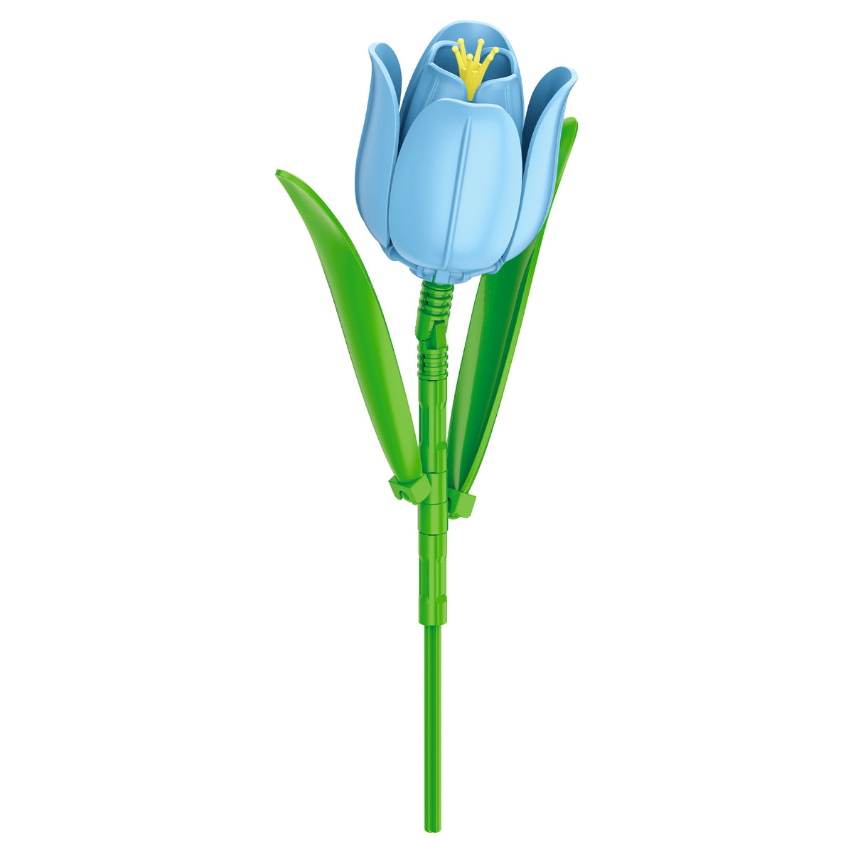 Blue Tulip