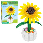 Yellow Sunflower in Picket Fence Pot