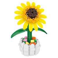 Yellow Sunflower in Picket Fence Pot