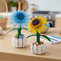 Yellow Sunflower in Picket Fence Pot