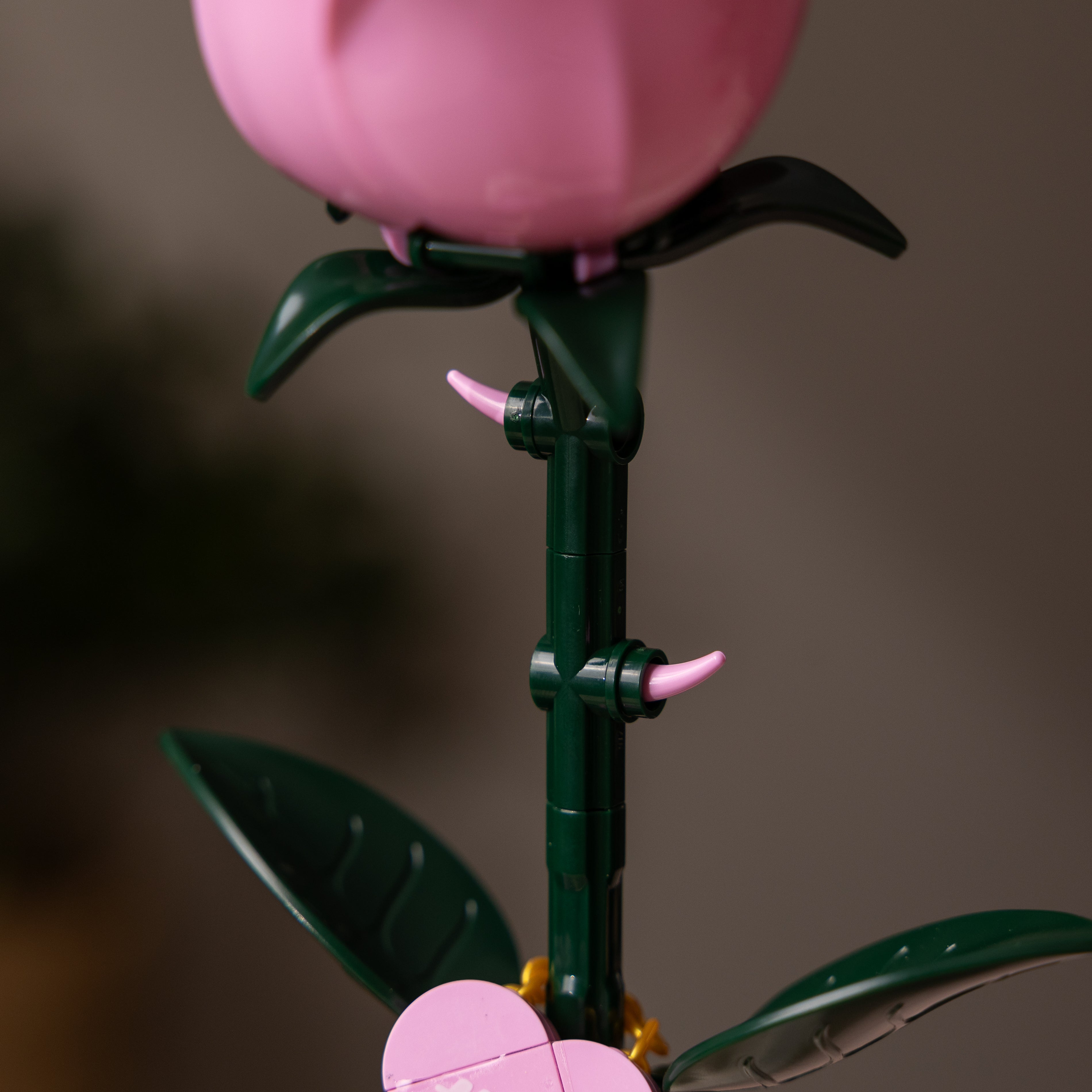 Pink Long Stem Rose