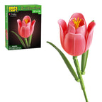 Tulip
