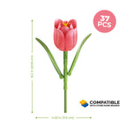 Tulip