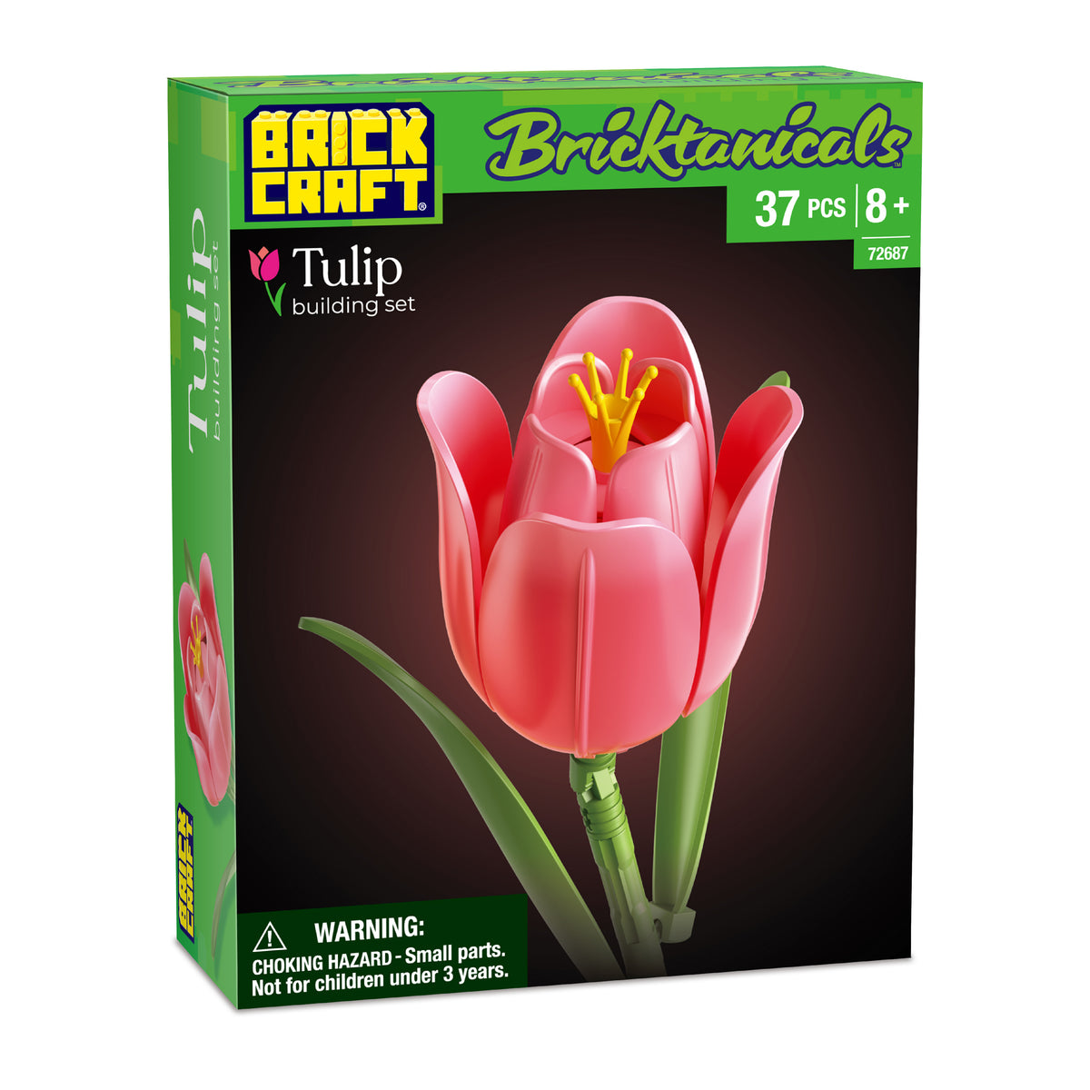 Coral Tulip