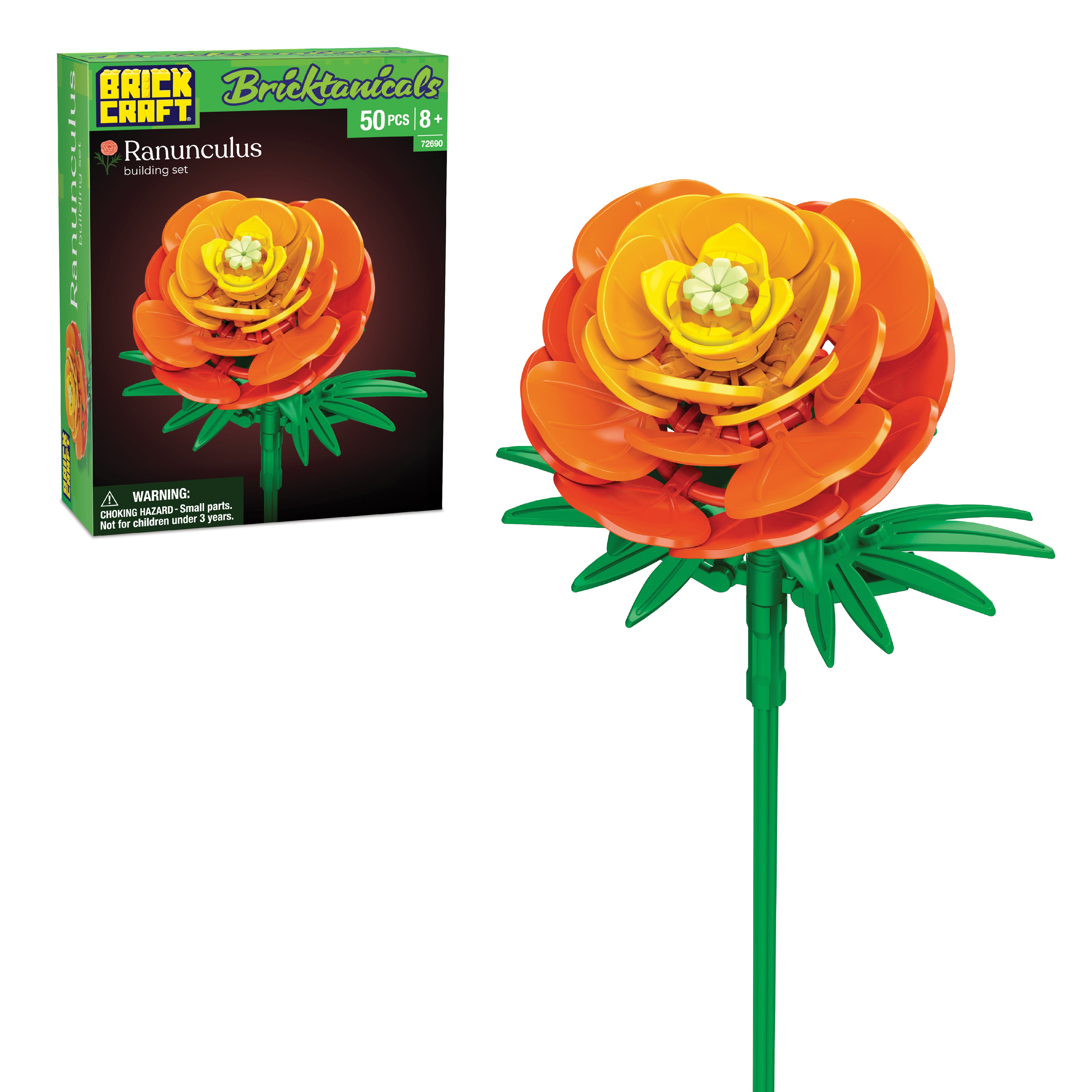 Ranunculus