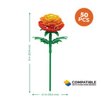 Ranunculus