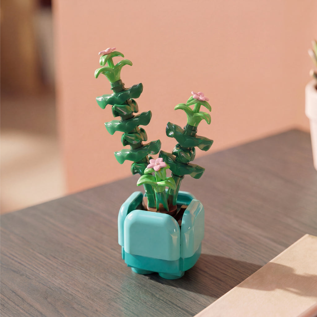 Crassula Succulent