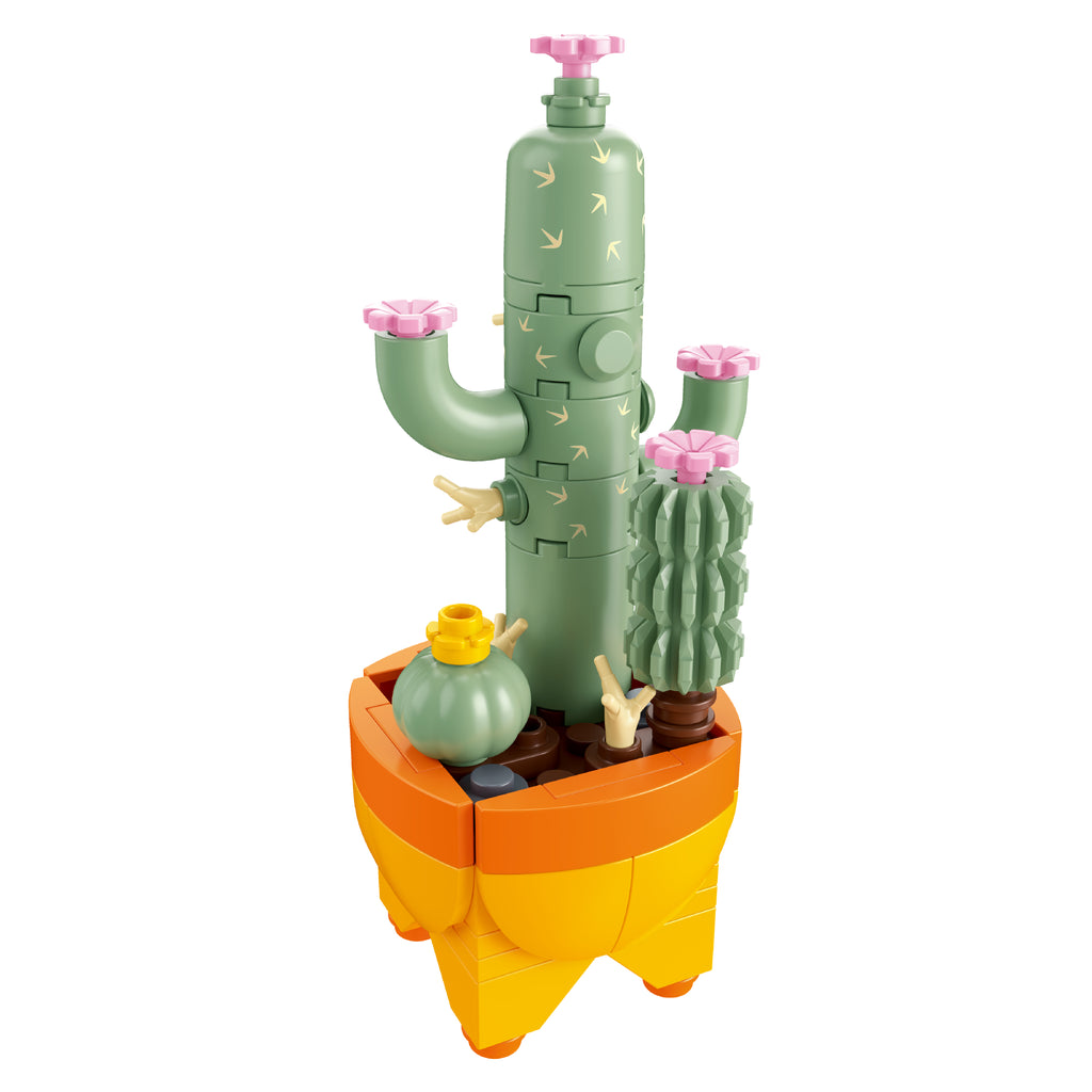 Cactus Garden
