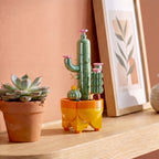 Cactus Garden
