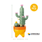 Cactus Garden