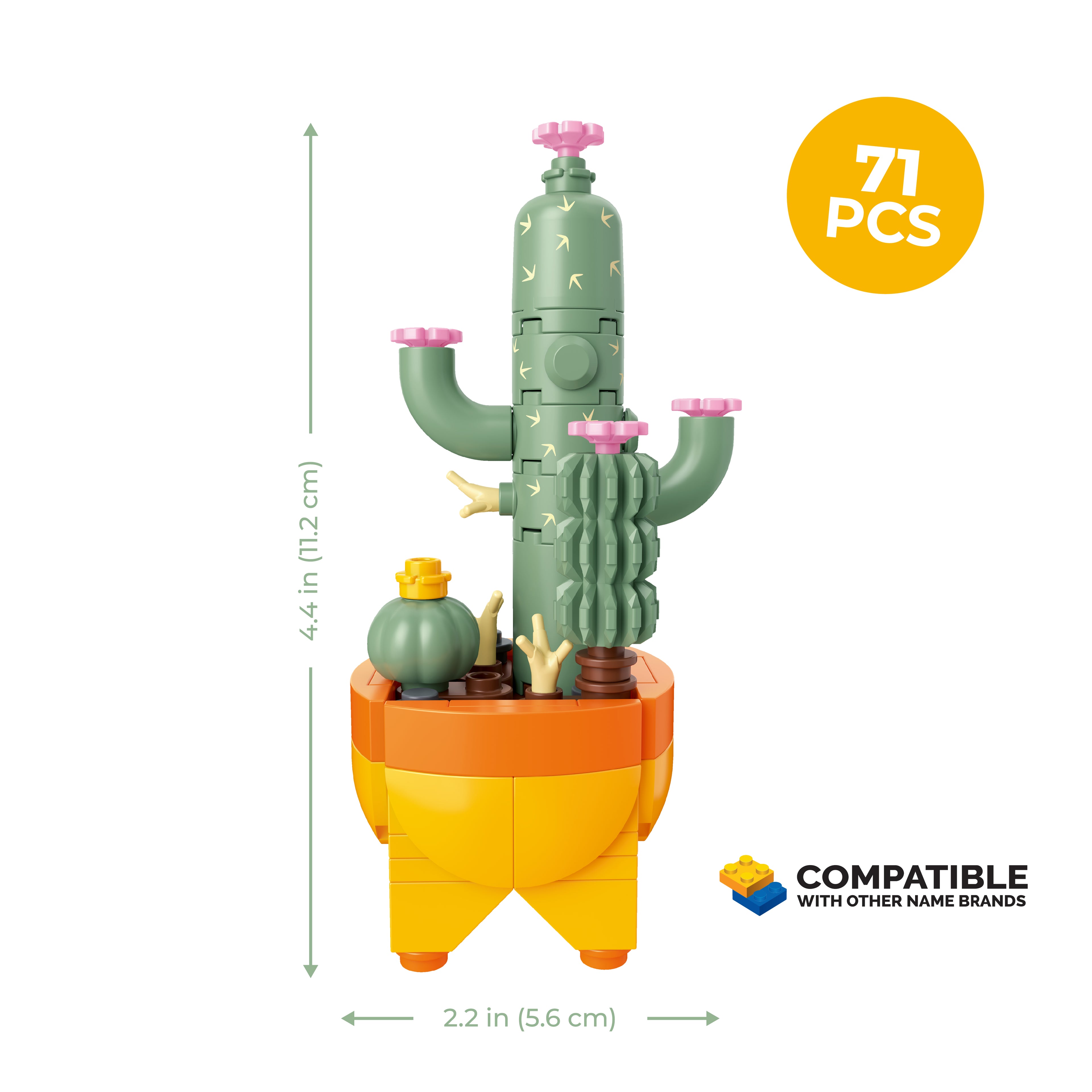 Cactus Garden