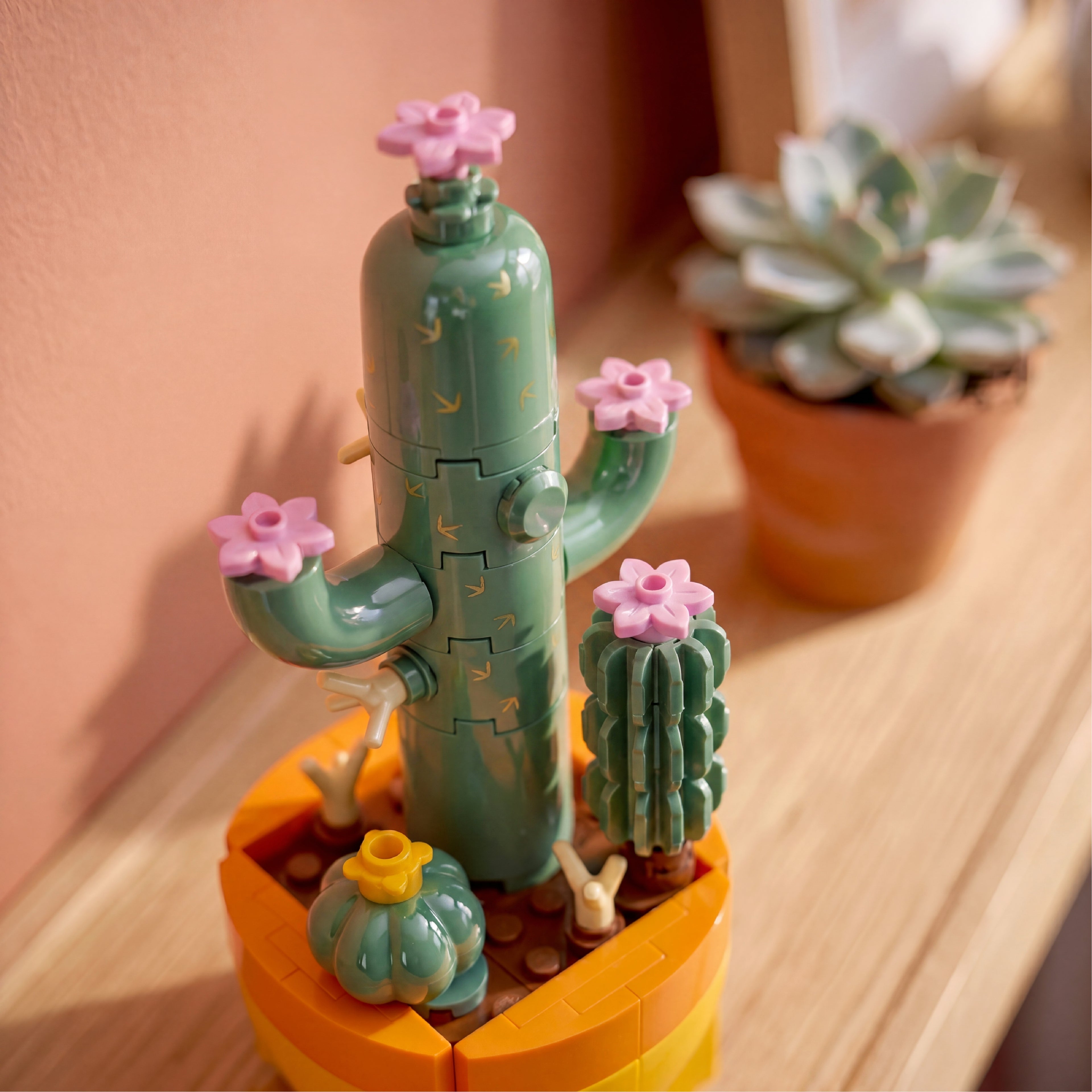 Cactus Garden