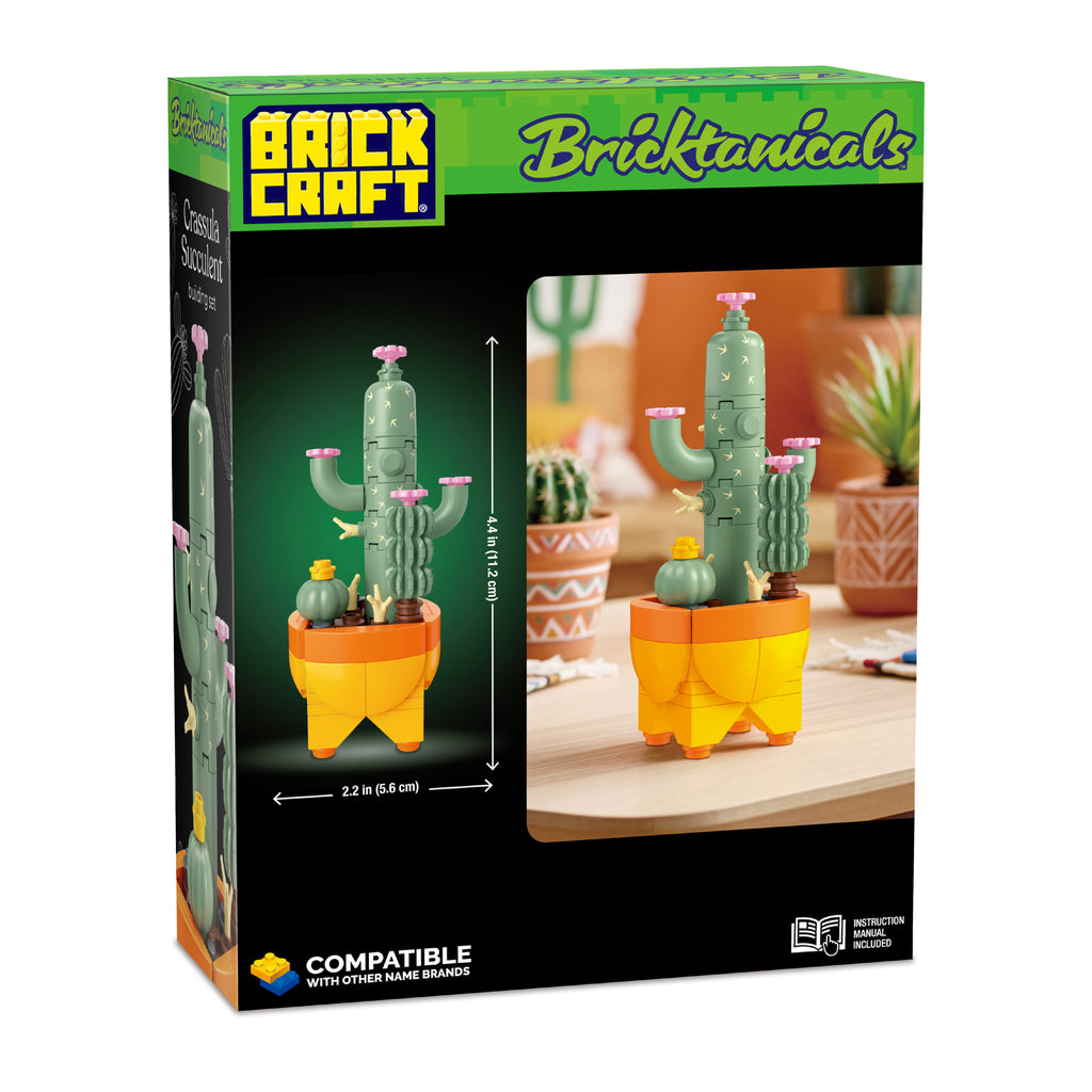 Cactus Garden