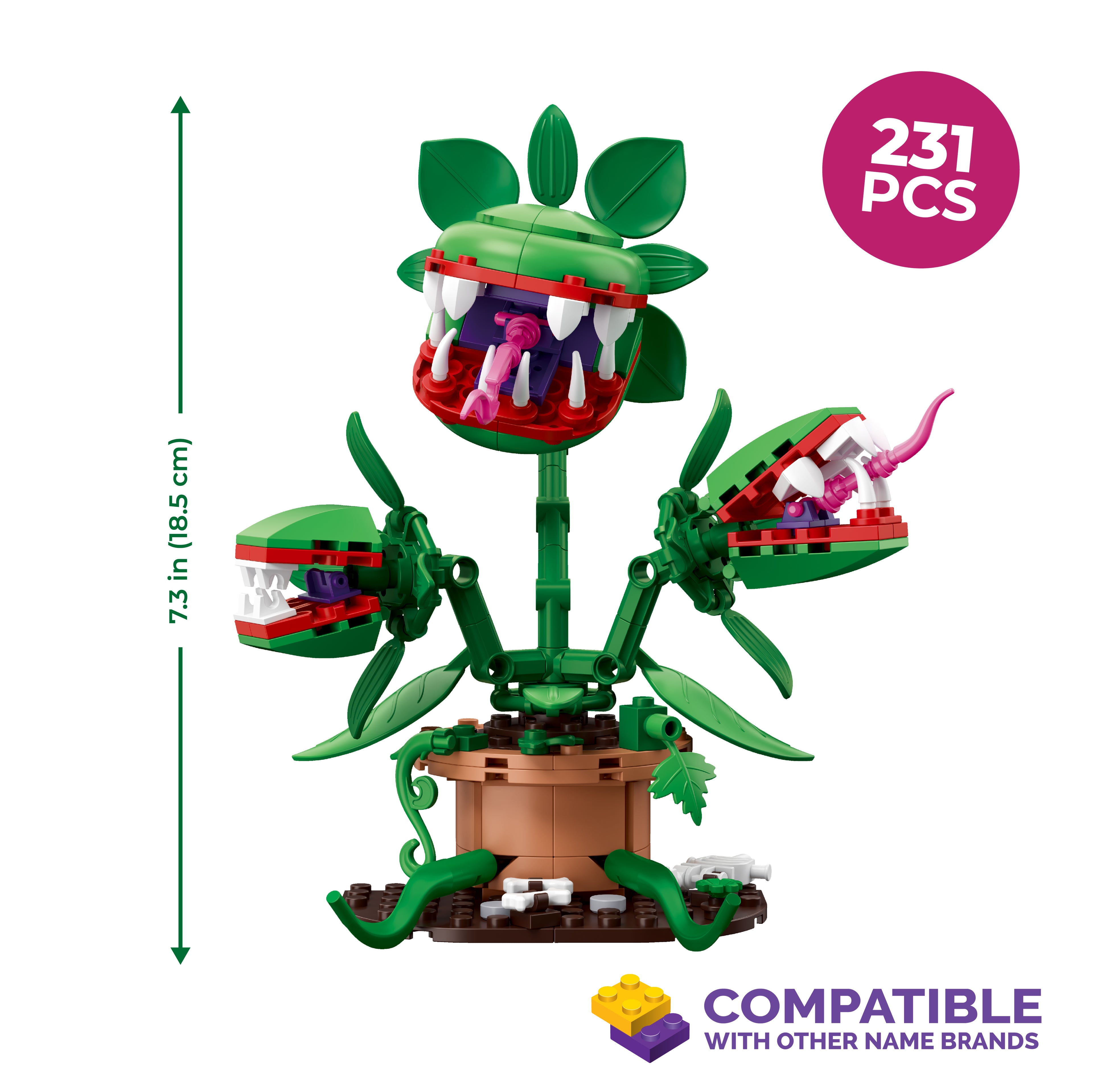 Monster Plant