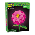 Zinnia