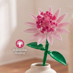 Astrantia