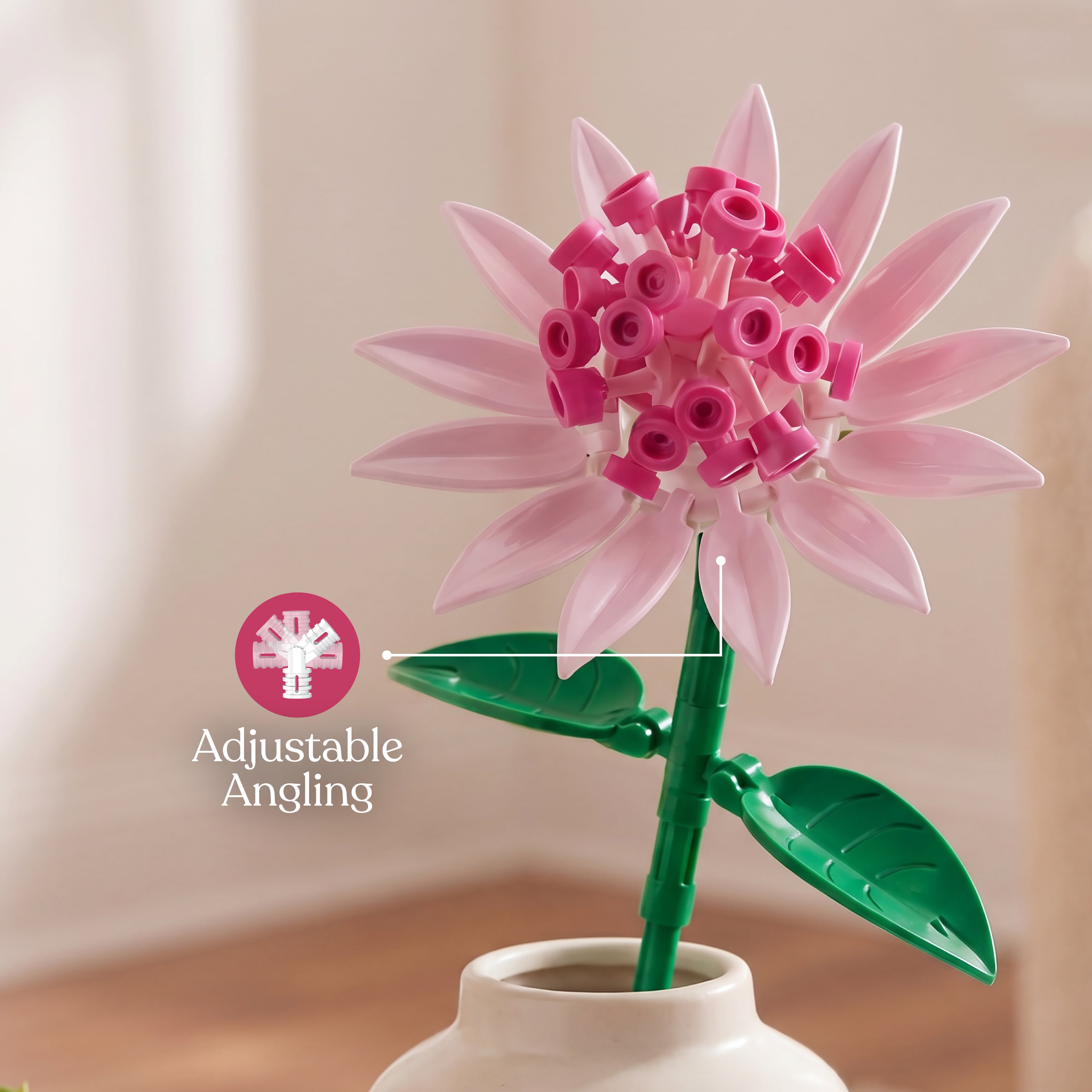 Astrantia