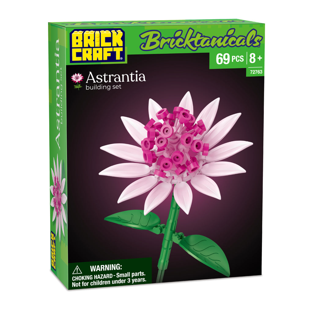 Astrantia