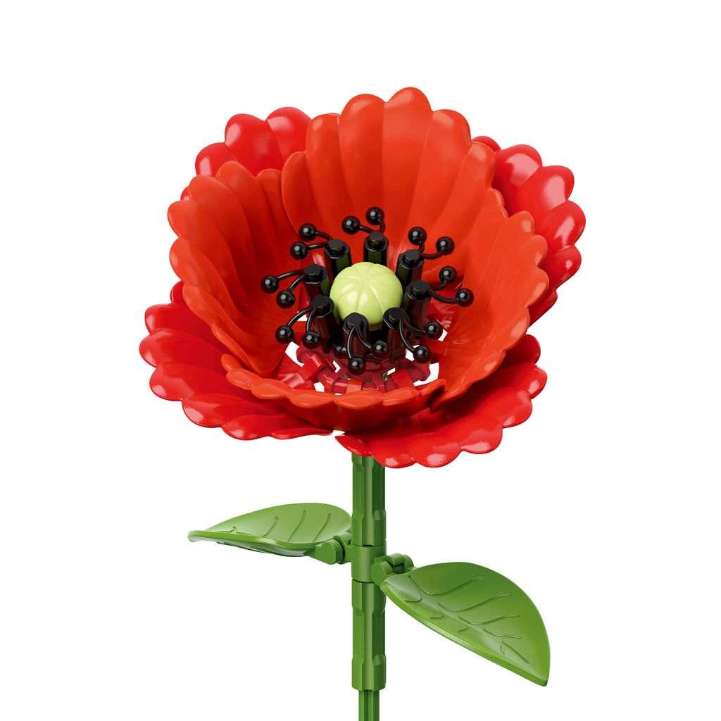 Poppy