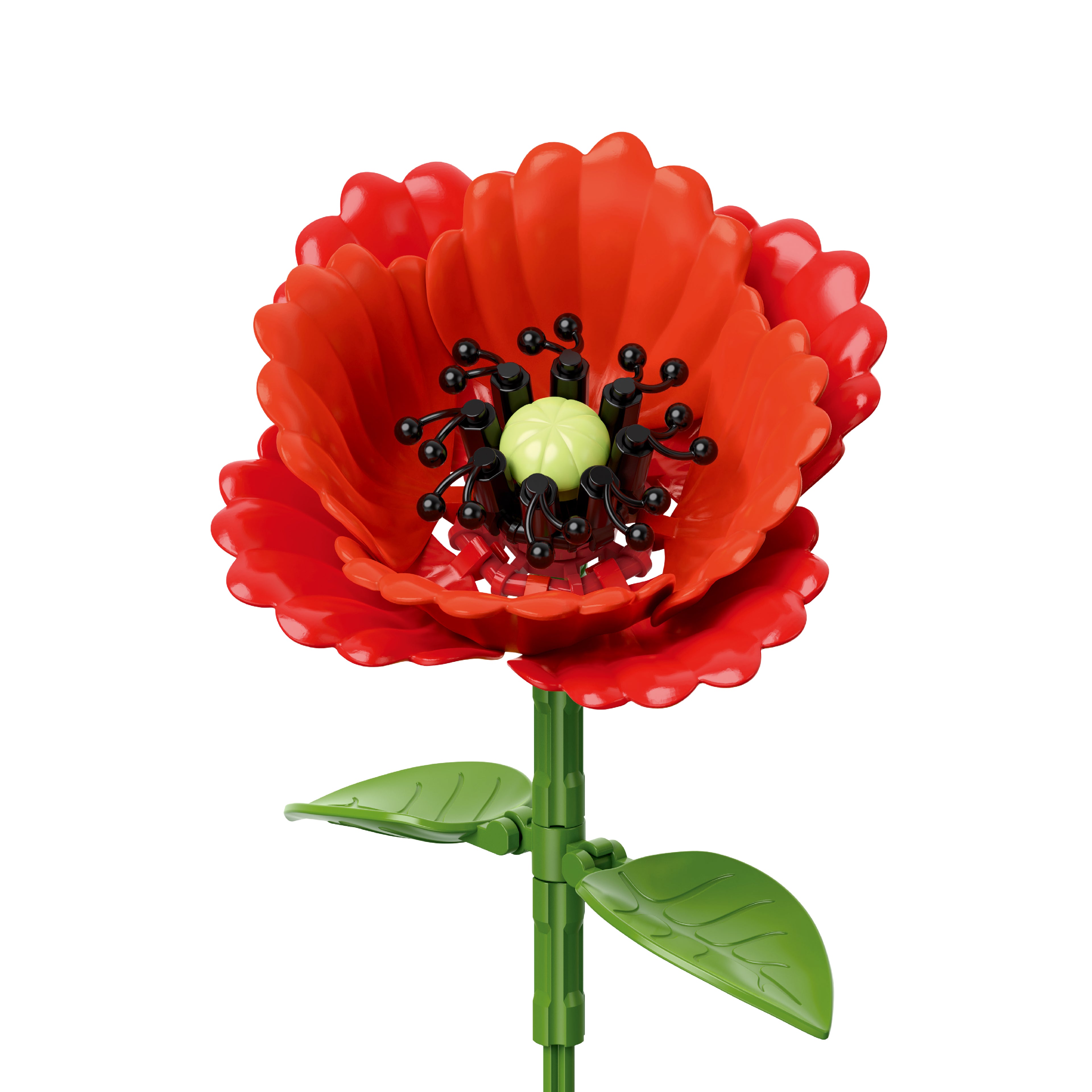 Poppy
