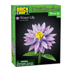 Water Lily