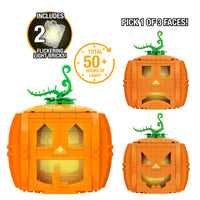 Fall Harvest Bundle