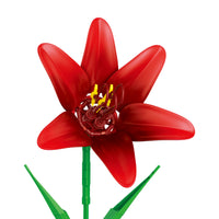 Holiday Flower Bundle