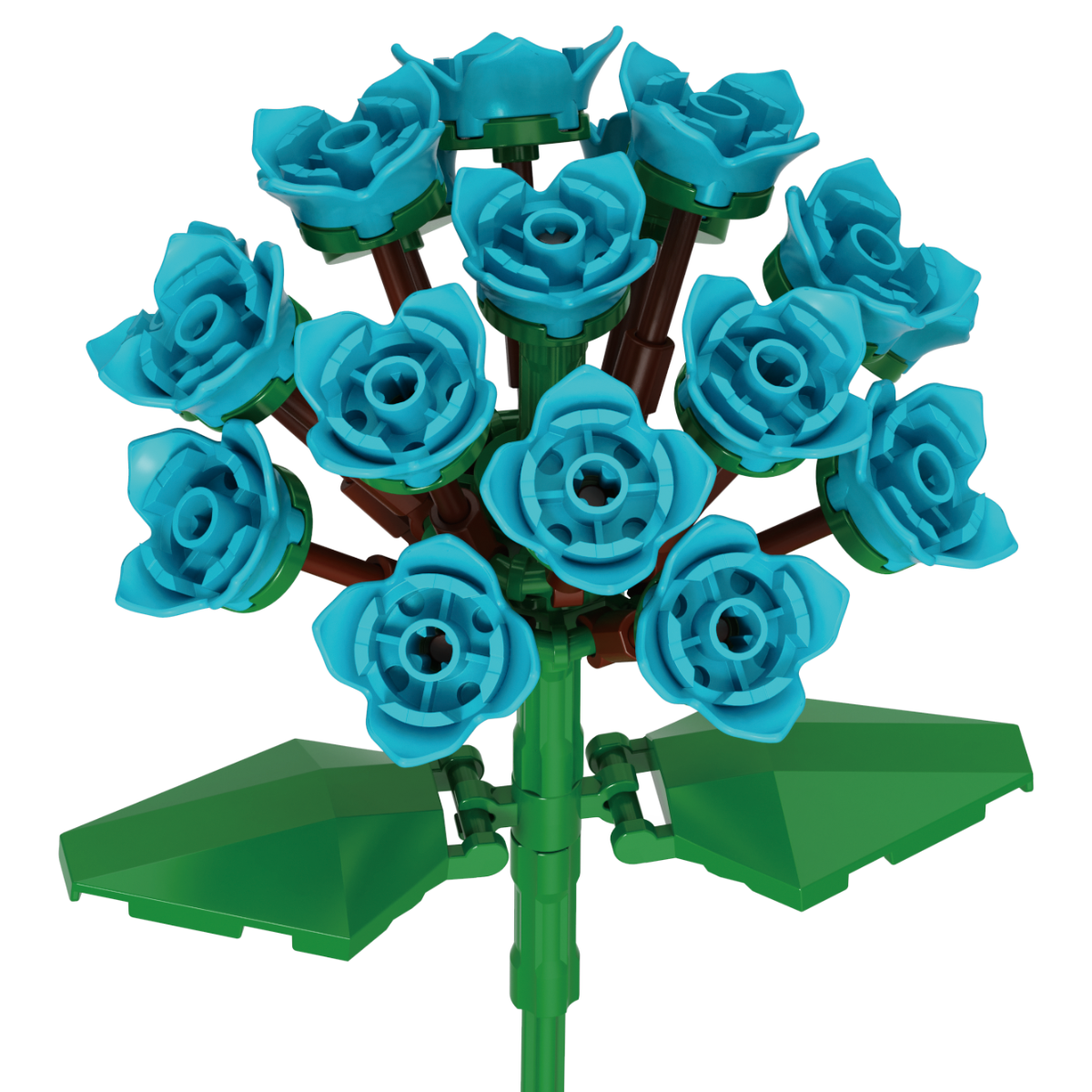 Hydrangea